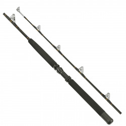 Rod Game Euro Gold Fully Rollered 30-50Lb