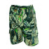 Kids Cotton Short Bermuda 5-6 Year