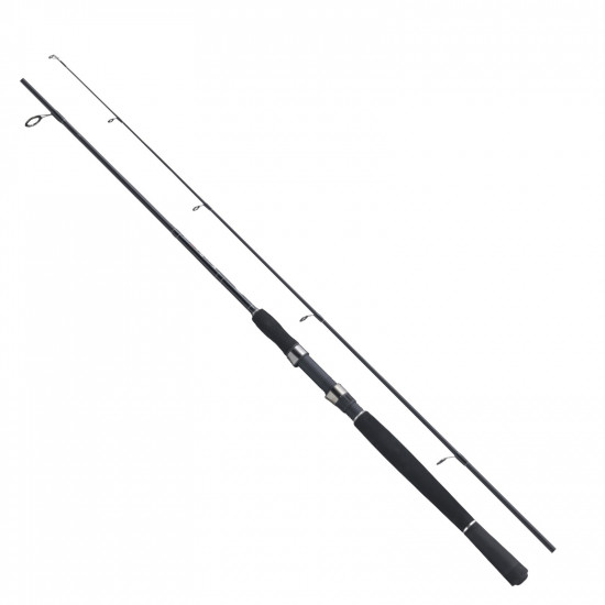 Combo Spin Xtra-Flexx 210cm / Authentic 140 (10-20Lb)