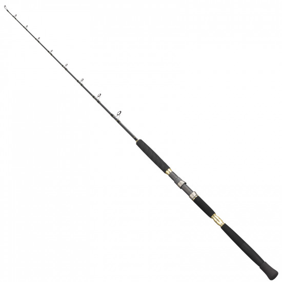 Combo Jigging Max Nano Deep Water 150cm / Max J20SE