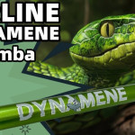 Perline Dynamene Mamba Rod