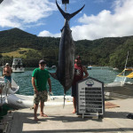 157.6Kg Blue Marlin Caught on Fronteira Capricorn Lumo White Big Game Lure