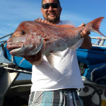 Big Snapper caught on Tecni-Perline High Abrasion Rock & Surf Line