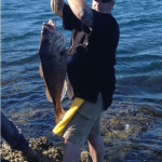 23Lb Snapper caught on Tecni-Perline High Abrasion Blue Rock & Surf 10kg Line