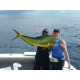 Fronteira Cruxis Soft Head Tuna Lure - Pink Flash