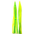Game Skirt - 260/028 - Chartreuse With Lime Green Stripes